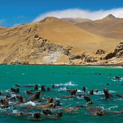 WhatsApp Image 2018-10-23 at 15.28.58 (1)