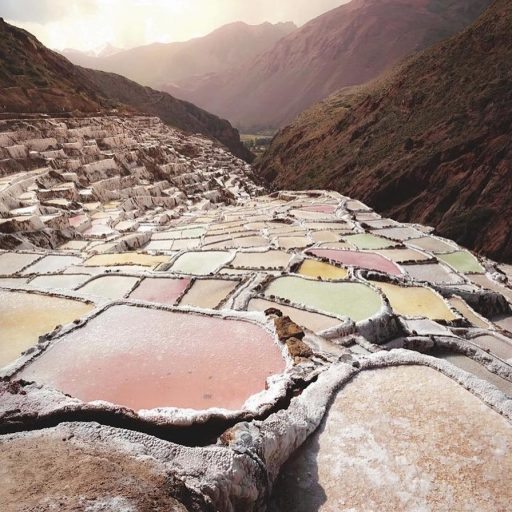 WhatsApp Image 2018-12-12 at 22.03.16 (1)