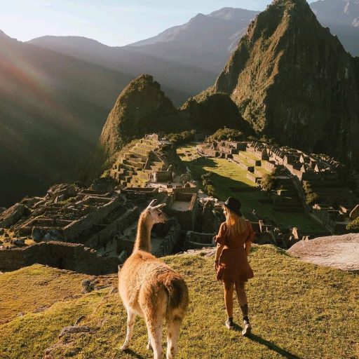 WhatsApp Image 2018-12-13 at 21.07.55