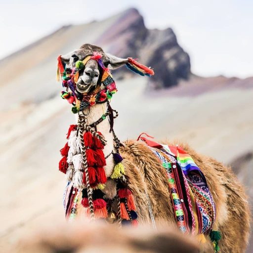 WhatsApp Image 2018-12-27 at 19.07.27