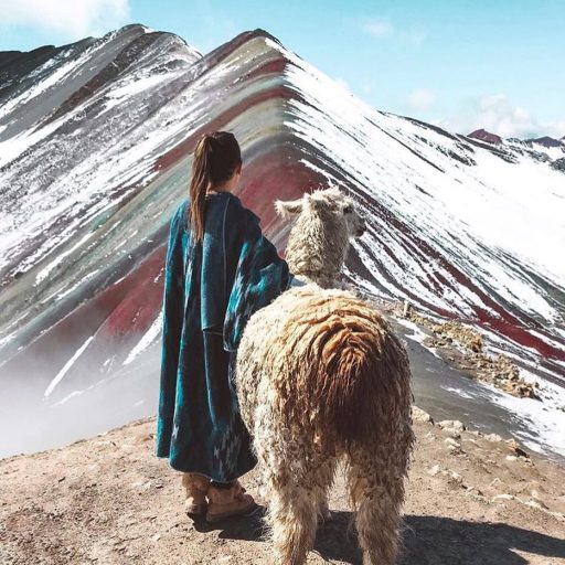 WhatsApp Image 2019-02-15 at 17.51.16 (2)