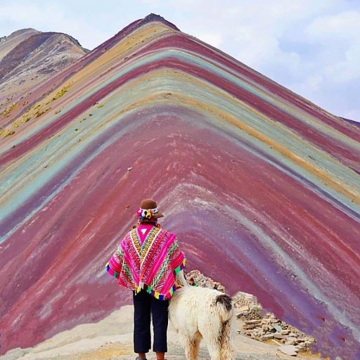 WhatsApp Image 2019-02-16 at 16.15.40 (1)