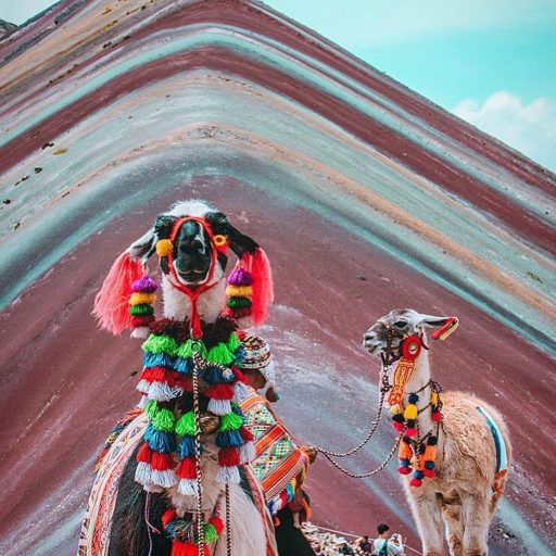 WhatsApp Image 2019-02-23 at 15.02.12