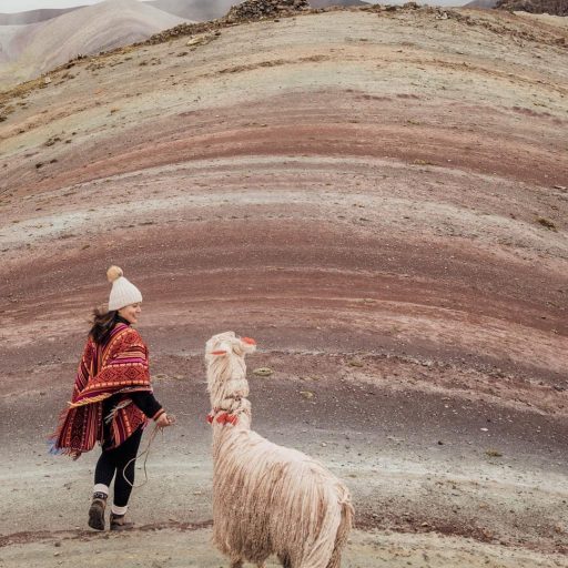 WhatsApp Image 2019-03-04 at 11.48.33